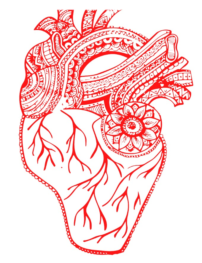 Cardiology